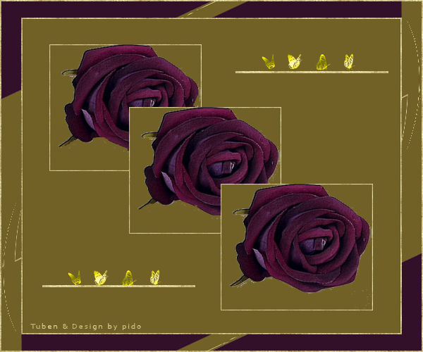 PSP Tutorial Signtag Bild Roses