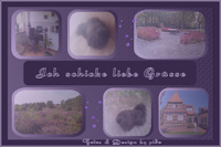 Postkarte_5_Mine Tutorial