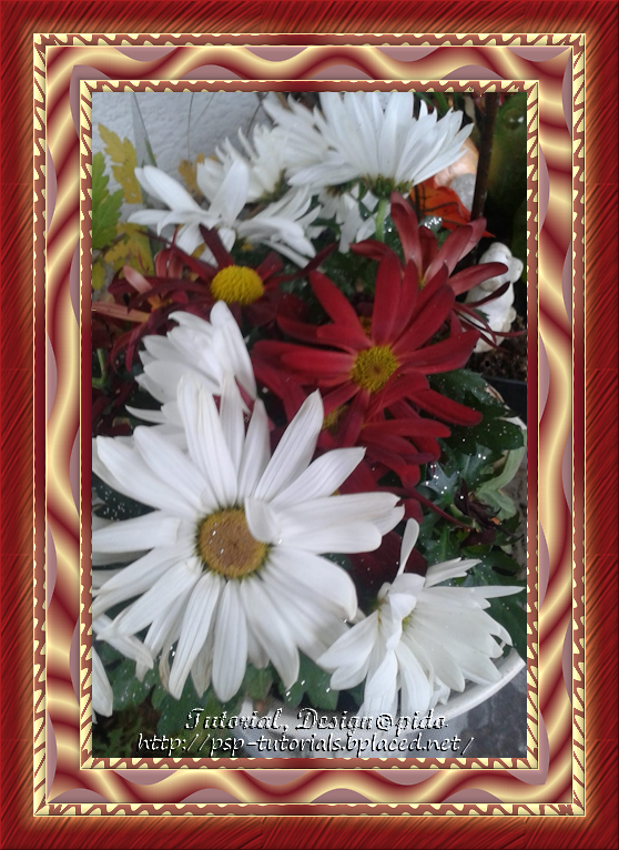 PaintShop Pro Rahmen-tutorial, Rahmen Blumenbild