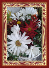 Rahmen Tutorial Blumenbild