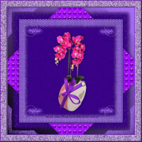 Scrapkit Tutorial 1